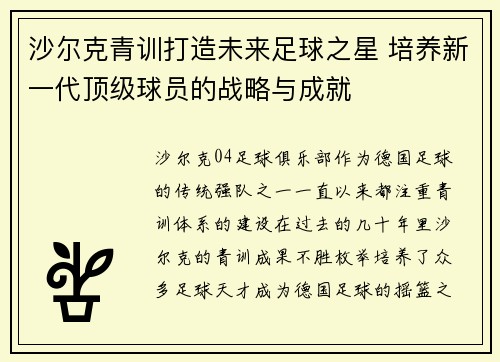 沙尔克青训打造未来足球之星 培养新一代顶级球员的战略与成就
